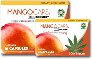 Mangocaps product